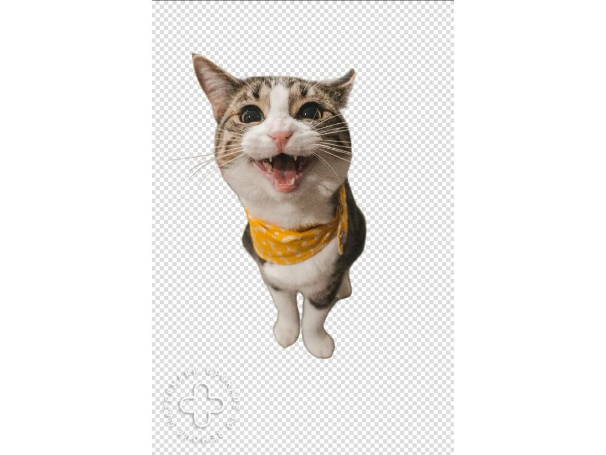 BeFunky animal background removal result